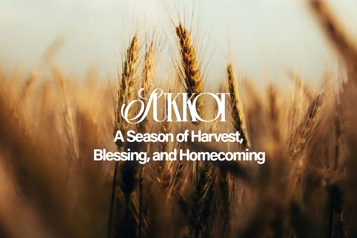Golden wheat field with the words Sukkot: A Season of Harvest, Blessing, and Homecoming